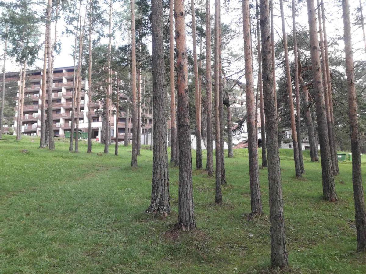 Lux Apartman Ss Zlatibor Vila Pekovic Green Dış mekan fotoğraf